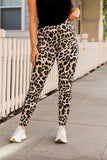 Leopard Leggings Sizes 4-28