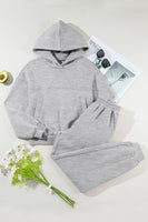 Dropped Shoulder Long Sleeve Hoodie and Pants Active Set S-2XL